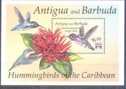 ANTIGUA AND BARBUDA  (VOG011) XC - Hummingbirds