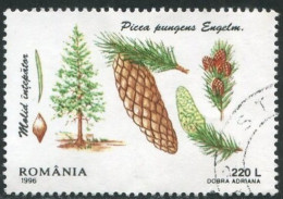 ROUMANIE - Épicéa Bleu (Picea Pungens) - Used Stamps