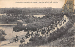 85-LES-SABLES-D'OLONNE - PROMENADE A  ANES DANS LA FORET DE LA RUDELIERE - Sables D'Olonne