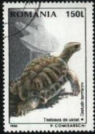 ROUMANIE - Tortue D'Hermann (Testudo Hermanni) - Used Stamps