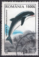 ROUMANIE - Marsouin Commun (Phocoena Phocoena) - Used Stamps