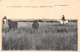 13-CAMARGUE- TAUREAUX SAUVAGES- MANADE DE L'AMAREE - Saintes Maries De La Mer