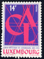 Luxembourg - Luxemburg - C18/30 - 1993 - (°)used - Michel 1328 - Kunstenbaarsvereniging - Gebruikt