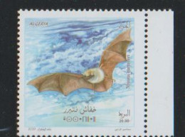 Algérie. Algeria.2020. Chauve-souris; Bat;   Murin De Natterer - Bats