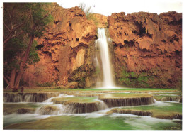 ARIZONA, GRAND CANYON, NATIONAL PARK, THE LUSH, VALLEY, HAVASU FALLS, WATERFALL, UNITED STATES - Gran Cañon