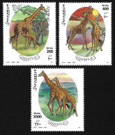 ANIMALS Somalia 2000 Giraffes Savannah Animals Fauna Wild Life Giraffe Nature Africa Prairie MNH Full Set Stamps - Girafes