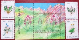 Uzbekistan  2011  Flora  4 V +S/S     MNH - Geneeskrachtige Planten