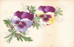 ILLUSTRATIONS - Fleurs - Aquarelle - Carte Postale Ancienne - Unclassified