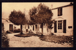 CPA 17 - ILE D'OLERON - ST PIERRE - LA MAISON DES AÏEULES - Saint-Pierre-d'Oleron