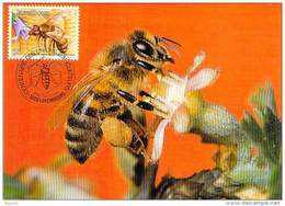 LUXEMBOURG  CARTE  MAXIMUM  NUM-YVERT  1099 APICULTURE ABEILLE RUCHE - Maximumkarten