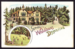 Um 1900 Ungelaufene Litho AK: Gruss Aus Waldhaus, Degenried Mit Spielplatz. Nähe Dolder. Minim Fleckig - Wald