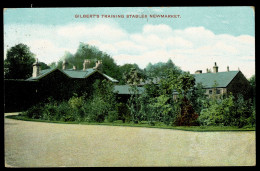 Ref 1632 - 1905 Postcard - Gilbert's Training Stables Newmarket - Hoseracing Theme - Altri & Non Classificati