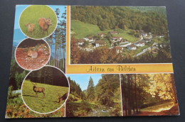 Aitern Am Belchen - Ansichtskartenverlag W. Feldmann, Wildbad - Lörrach