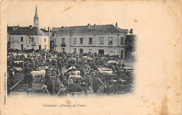 Chemillé      49         Champ De Foire. Marché Aux Bestiaux   - 2 -  .               (voir Scan) - Chemille