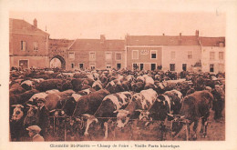 Chemillé      49         Champ De Foire. Marché Aux Bestiaux    Vieille Porte Historique  -  .               (voir Scan) - Chemille