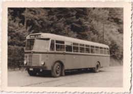 La Roche-en-Ardenne - Bus Marloie - La Roche - Photo - & Bus - Coches