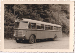 La Roche-en-Ardenne - Bus Marloie - La Roche - Photo - & Bus - Auto's