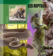 Djibouti 2023, Animals, Reptiles, Snake, BF - Serpents