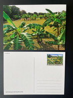 Centrafrique Central Africa 2019 Mi. 8634 Stationery Entier Ganzsache Végétation Palmiers Palmen Palm Trees - Zentralafrik. Republik