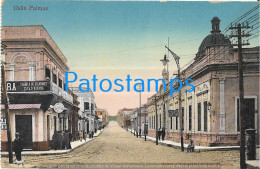 212947 PARAGUAY ASUNCION STREET CALLE PALMAS POSTAL POSTCARD - Paraguay