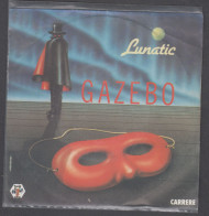 Disque Vinyle 45t - Gazebo - Lunatic - Dance, Techno & House