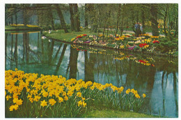 CPSM  / CPM 10.5 X 15 Pays Bas (50) Keukenhof  Lisse-Holland   Parc Floral De Keukenhof à LISSE - Lisse