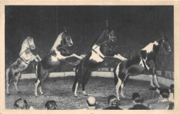 LA PYRAMIDE A QUATRE CHEVAUX- PRESENTEE PAR LE MAÎTRE ECUYER,  AL GRUSS - Zirkus