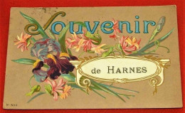 HARNES -  Souvenir De Harnes  -  1923  - - Harnes