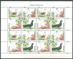 POLAND MNH ** 3304-3307 En Feuille Feuillet FAUNE. PIGEON. PIGEONS - Feuilles Complètes