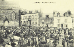 D 56 - LOCMINÉ - Marché Aux Bestiaux - Non Voyagée - Locmine
