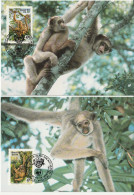 Brazilië 1984, Postcards, WWF, The Spider Monkey - Cartes-maximum