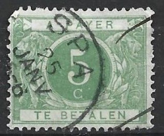 Belgio, 1895/09 - 5c Te Betalen - Nr.J3 Usato° - Journaux [JO]