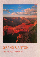 CPSM Grand Canyon-Yavapai Point-Timbre       L2361 - Gran Cañon