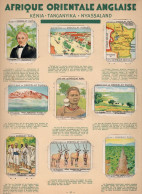 Chromos X 9 Afrique Orientale Anglaise KENIA TANGANYIKA Serie Complete Sur Feuille Album Pupier 68 X51mm 1930's TB RR - - Andere & Zonder Classificatie