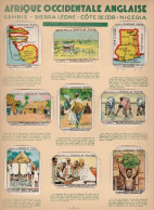 Chromos X 9 Afrique Occidentale Anglaise Gambie Nigeria Serie Complete Sur Feuille Album Pupier 68 X51mm 1930's TB RR - Otros & Sin Clasificación