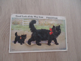 CPA Great Britain Angleterre System Paignton Good Luck.... Dépliant Chat Cat - Paignton