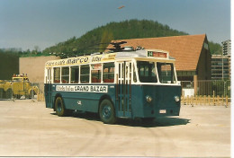 Liege Coronmeuse Trolleybus ( Photo 15x10 En 1987 - Bus & Autocars