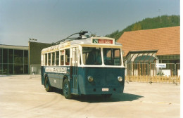 Liege Coronmeuse Trolleybus ( Photo 15x10 En 1987 - Bus & Autocars