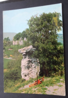 Bär Mit Ruine - Meissner 1, Abterode -Foto-Verlag Kistner, Abterode - Eschwege