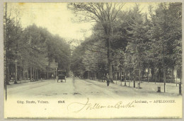 Apeldoorn *** Loolaan Met Koets - Begin 1900 - Apeldoorn