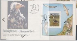 Transkei 1990 Birds Oiseaux Rapaces FDC - Aigles & Rapaces Diurnes