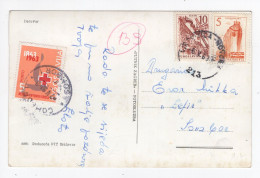 1963. YUGOSLAVIA,CROATIA,DARUVAR,TPO 213 VIROVITICA - NOVSKA,RED CROSS POSTAGE DUE IN SOMBOR,POSTCARD,USED - Strafport