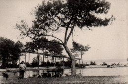 Biscarosse - Carte Photo - Vue Sur Le Lac - Biscarrosse