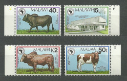 Malawi, 1989 (#533-36b), African Development Bank, Cows, Vacas, Kühe, Mucche, Vaches, Fauna, Animals, Telecommunication - Vaches