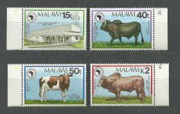 Malawi, 1989 (#533-36a), African Development Bank, Cows, Vacas, Kühe, Mucche, Vaches, Fauna, Animals, Telecommunication - Ferme