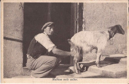 Malte Malta - Maltese Milk Seller Milkseller Goat - Malta