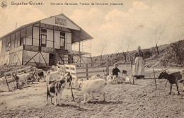 Belgique - Bruxelles-Woluwé - Chèvrerie Nationale De Tervueren (Cascade) Nels Goat - Woluwe-St-Lambert - St-Lambrechts-Woluwe