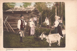 Suède - Dalarne - Orsa Goat - Schweden