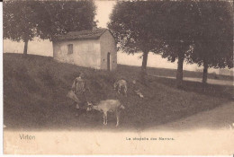 Belgique - Virton - Chapelle Des Marrons Goat - Virton
