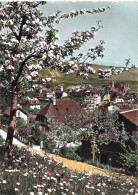 Baulmes - Vue Sur Le Village - Baulmes